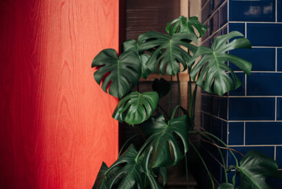 Studio-Lilith-2841.jpg